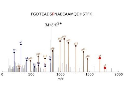 жареного картофеля