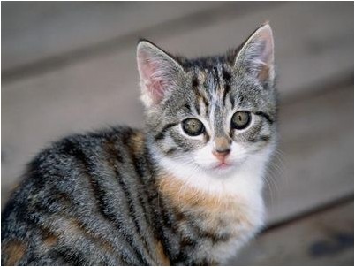 довольно часто