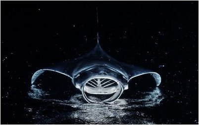 черные дыры