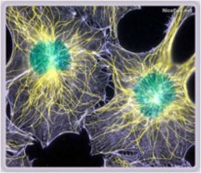 каждые десять