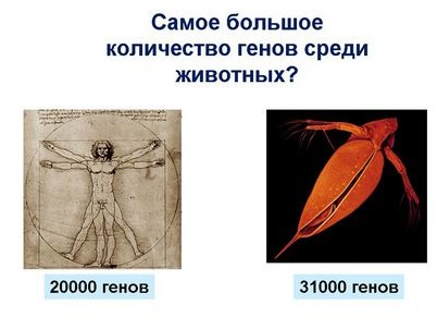 человек человек