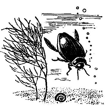 иммунной совокупности