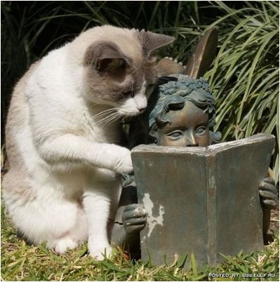 деления клетки