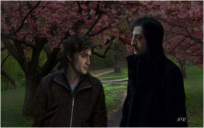 вирус вирус