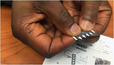 artemisinic кислоты