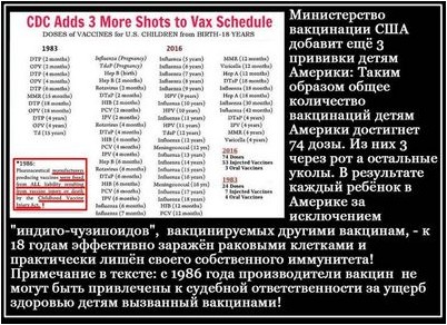 исследователь исследователь