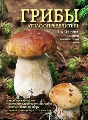 новое новое