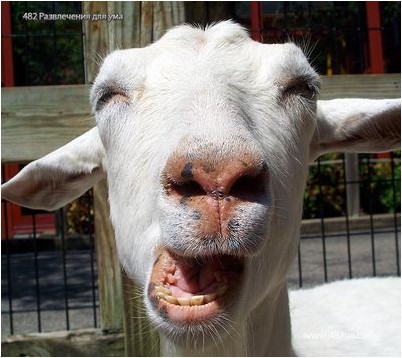 случае если