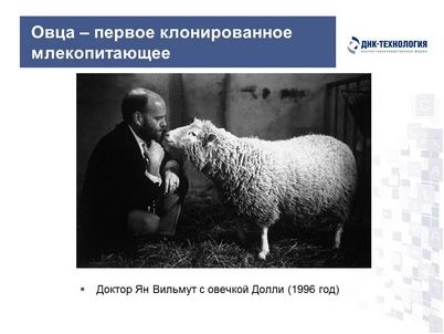 клонированные клонированные