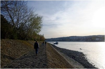 имели возможность