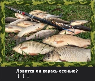 мужчина мужчина