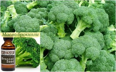 брокколи брокколи