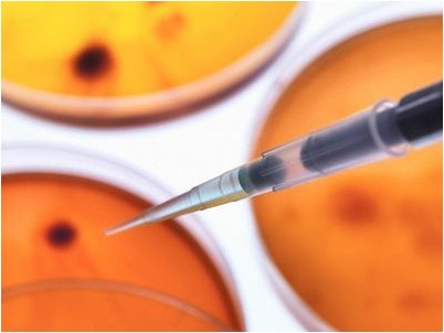 имел возможность