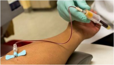 рост клеток