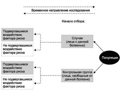 новый новый