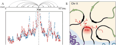 имели возможность