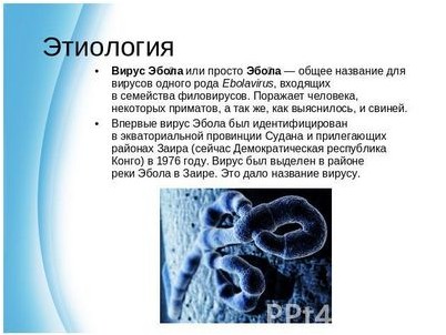 лихорадка лихорадка