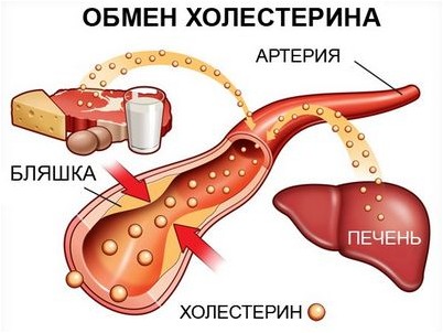 холестерин