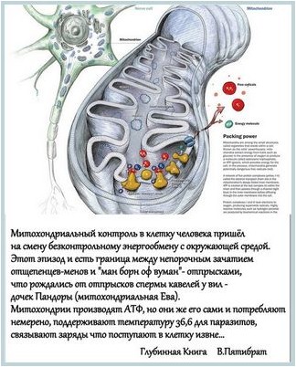 концентрации холестерина