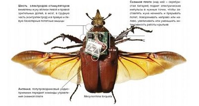 блокирование