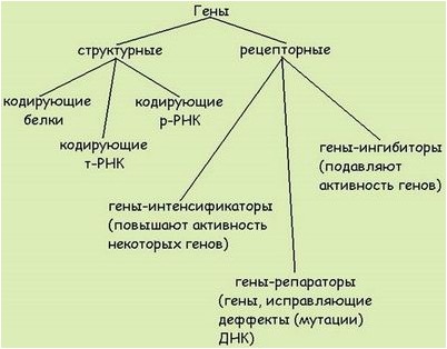 утраты функции утраты функции
