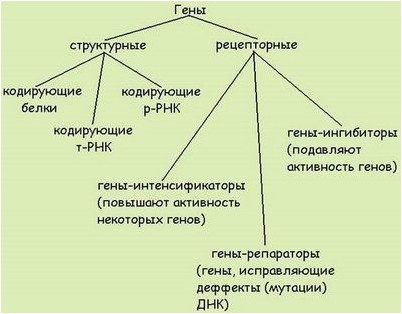 утраты функции