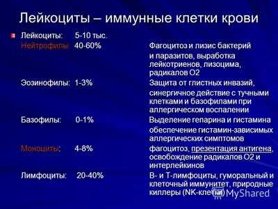 Обычные бактерии, активирующие естественные Т-клетки-киллеры, могут вызывать аутоиммунное заболевание печени Обычные бактерии, активирующие естественные Т-клетки-киллеры, могут вызывать аутоиммунное заболевание печени