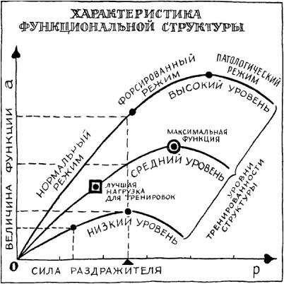 беспорядок