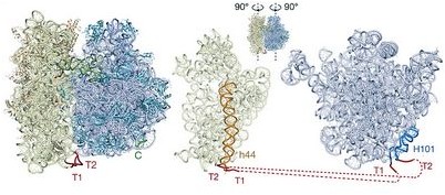 говорит Нарушитель говорит Нарушитель