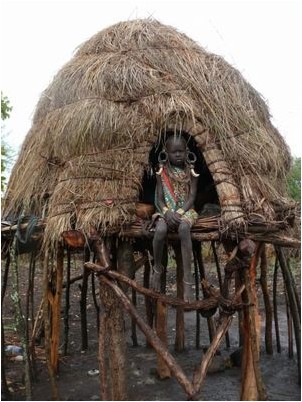 долларовых банкнот