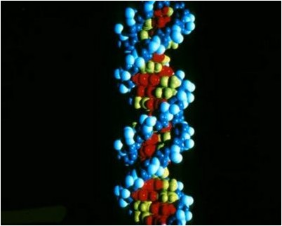 рака простаты