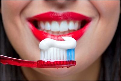 губочных позвоночных