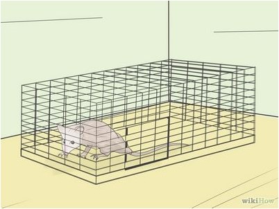 туберкулез