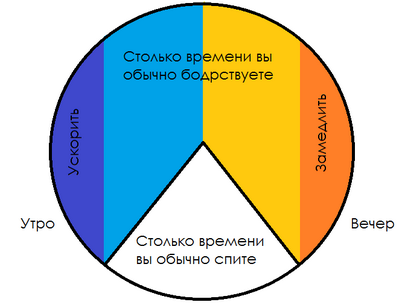 времени органа
