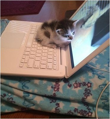 аналогичных Земле