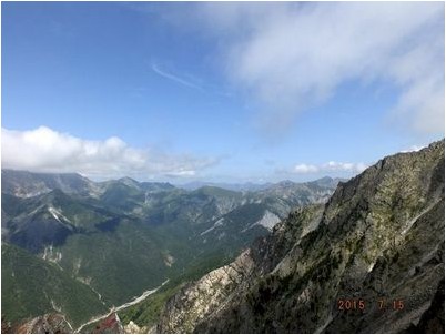 рабочей группы