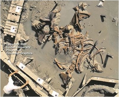 организовать