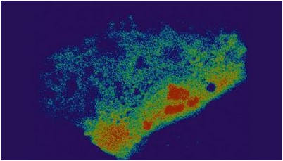имели возможность